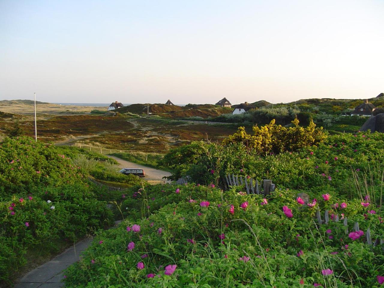 Giebelhaus Frida - Sylt, 베스터란트 외부 사진